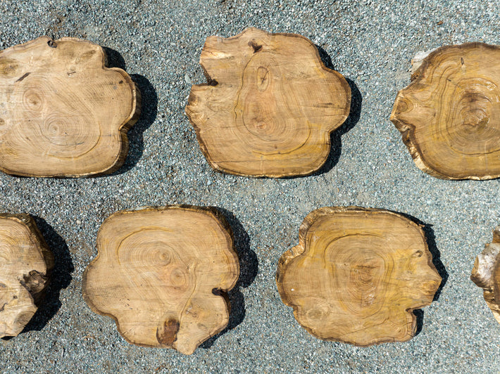 wood rounds that look like cookies
